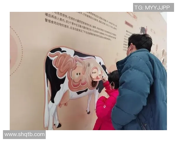 你不知道的公牛:十大冷知识大揭秘 你不知道的公牛:十大冷知识大揭秘